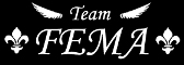 Team FEMA